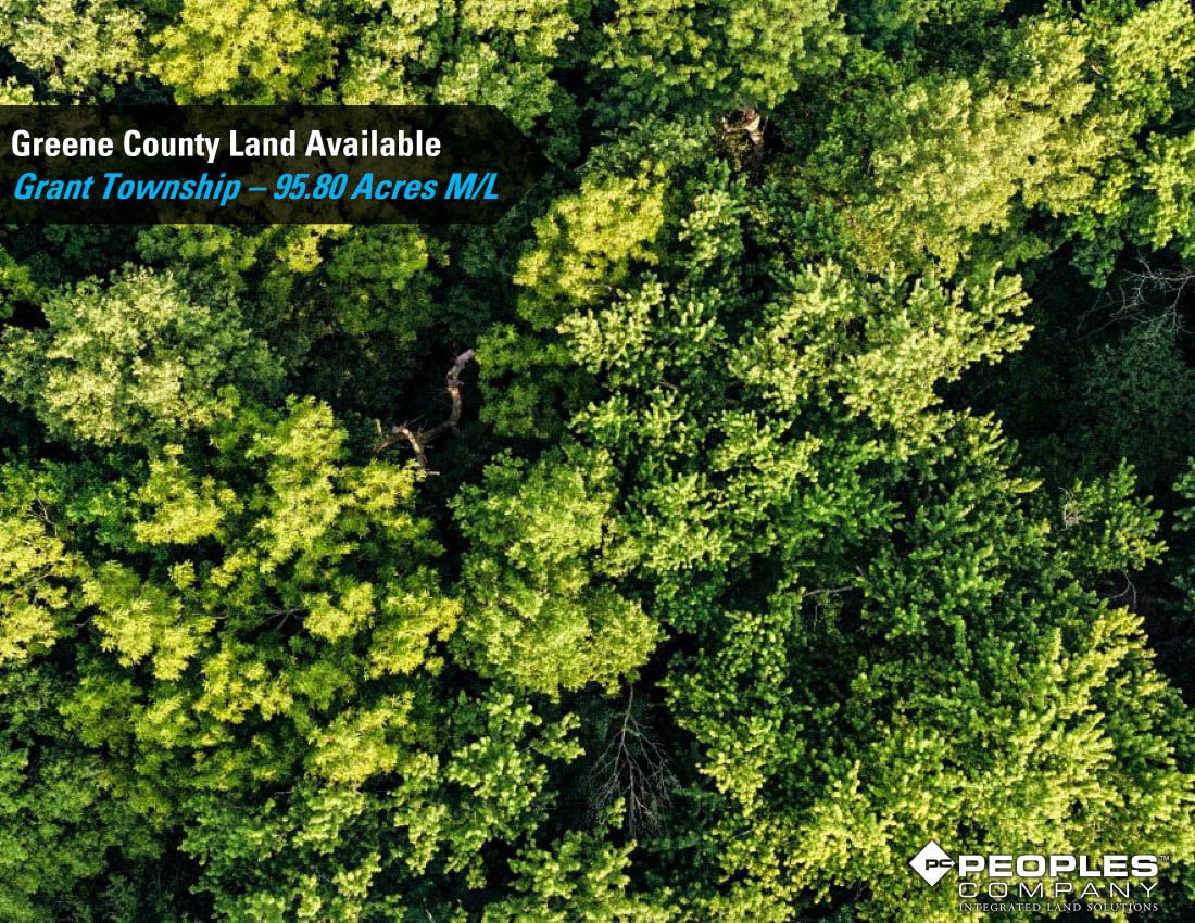 Listing Photo: Greene-Co-Rec-Land-Available-95-Acres-19559 (16)